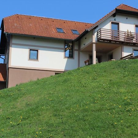 Vdovic Guest House Svecina Kültér fotó