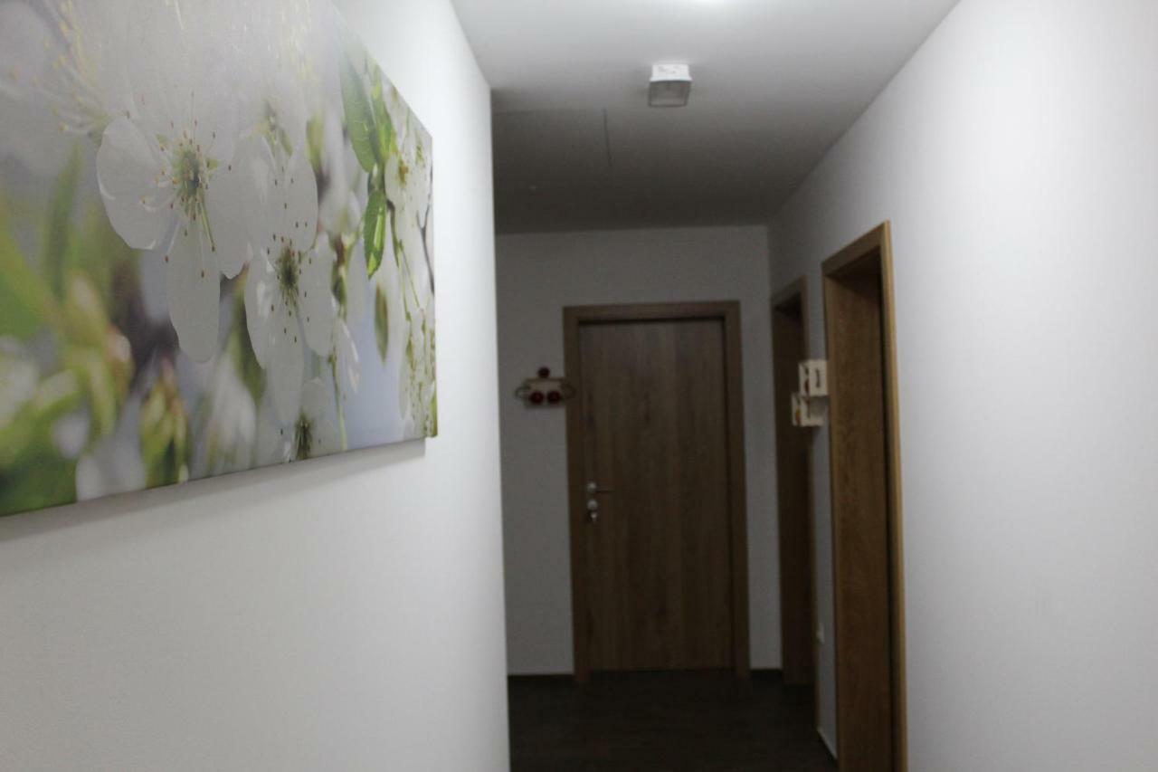 Vdovic Guest House Svecina Kültér fotó